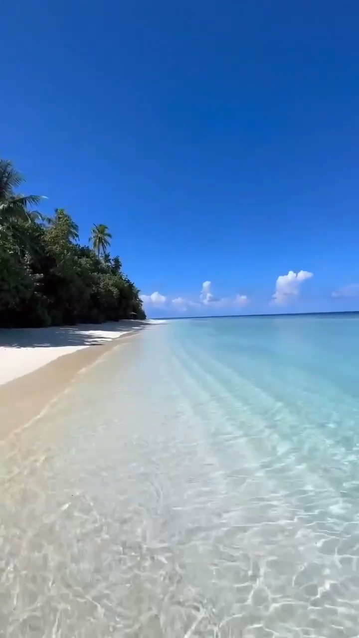 Tropischer Strand